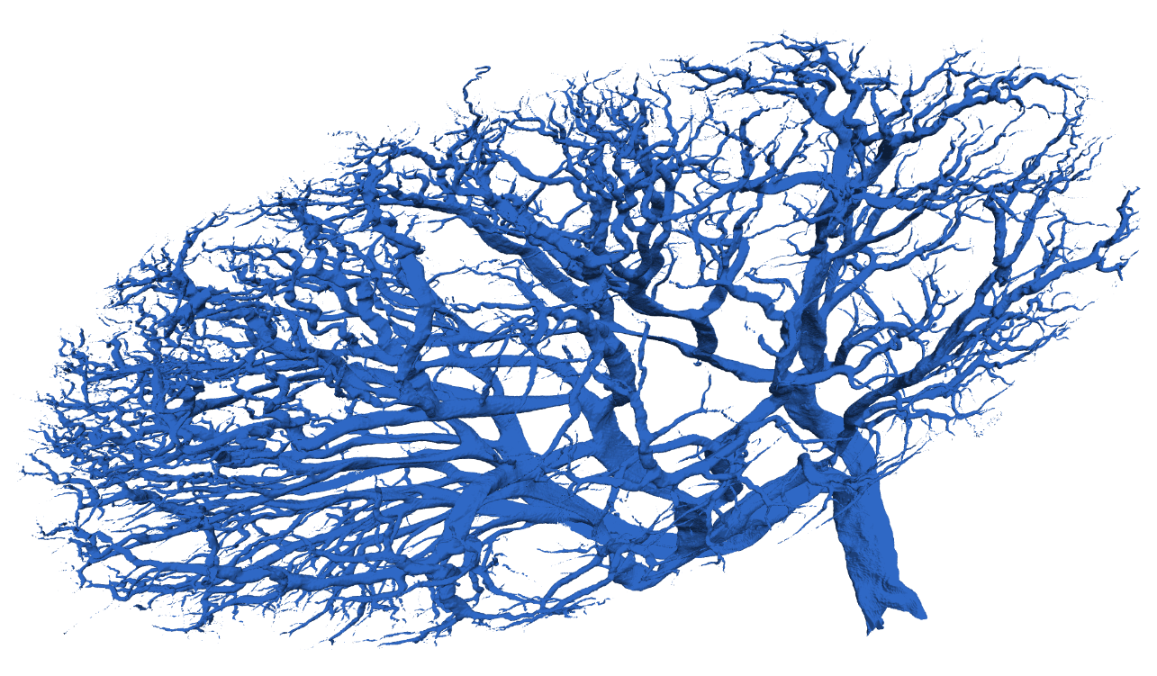 Correct label for sample volume